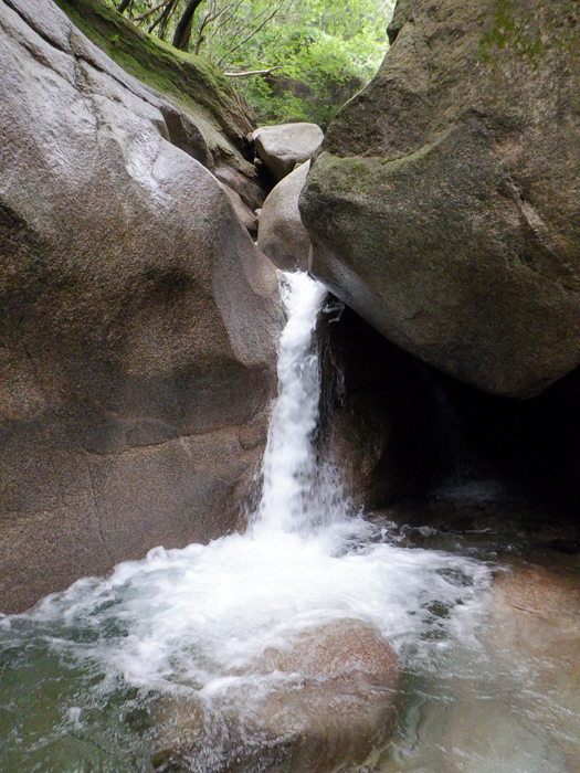 写真をクリックで拡大します