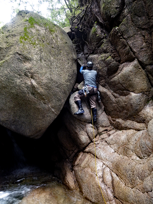 写真をクリックで拡大します