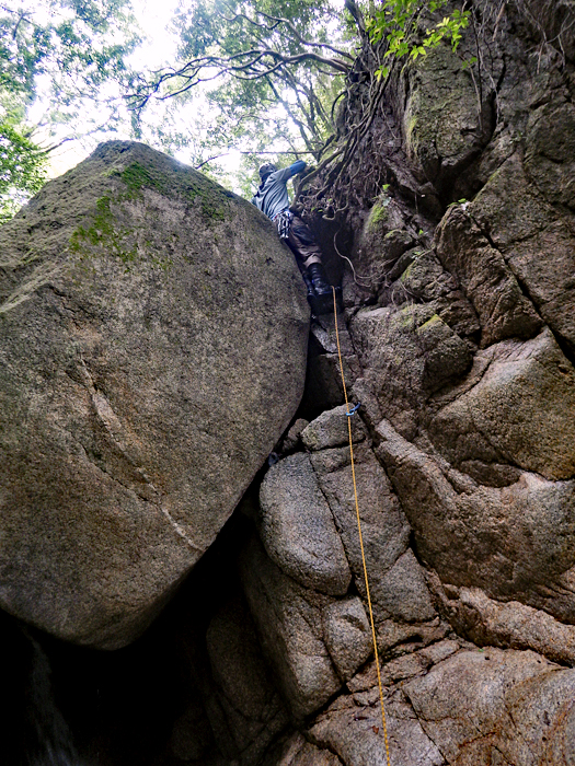 写真をクリックで拡大します