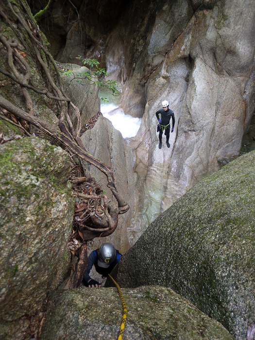 写真をクリックで拡大します