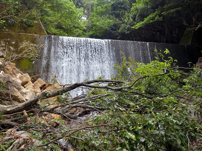 写真をクリックで拡大します