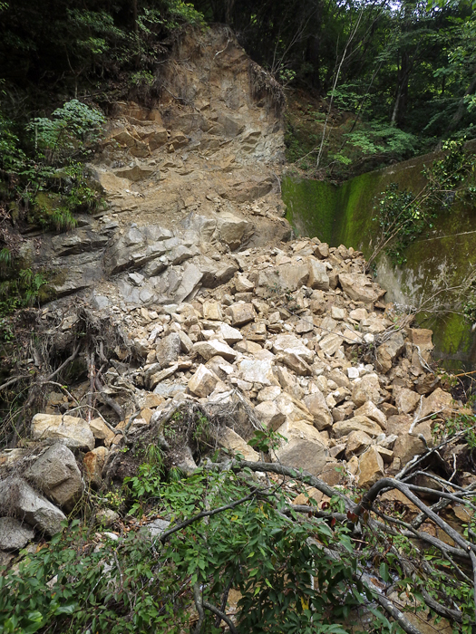 写真をクリックで拡大します