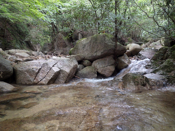 写真をクリックで拡大します