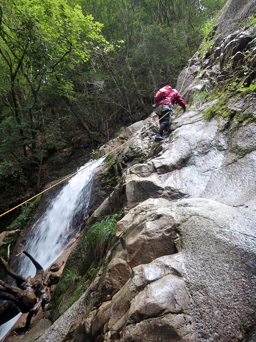 写真をクリックで拡大します