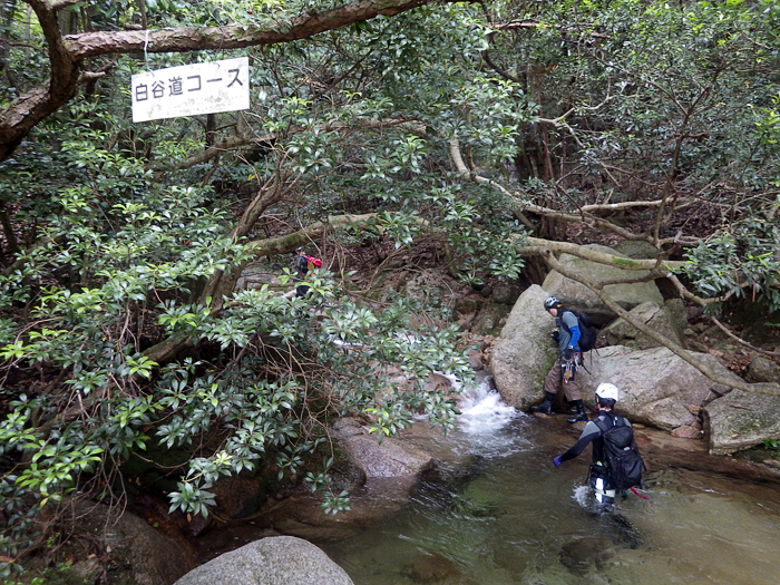 写真をクリックで拡大します