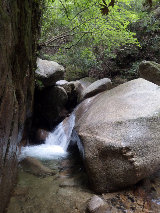 写真をクリックで拡大します