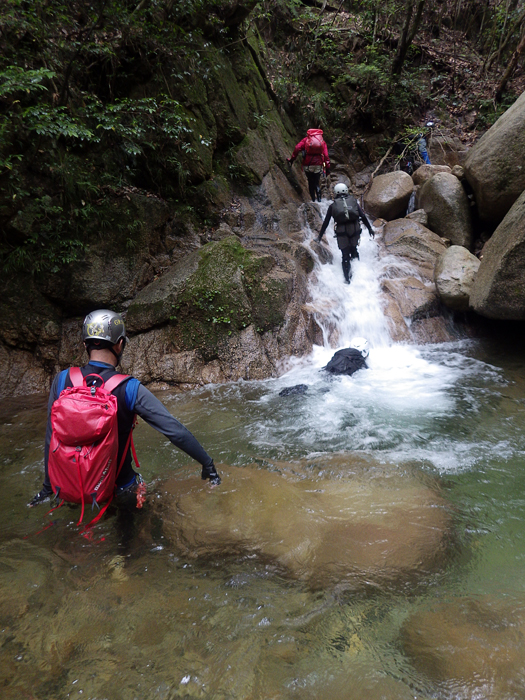 写真をクリックで拡大します