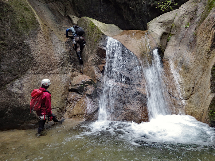 写真をクリックで拡大します
