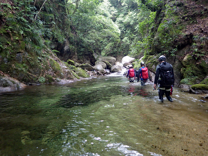 写真をクリックで拡大します