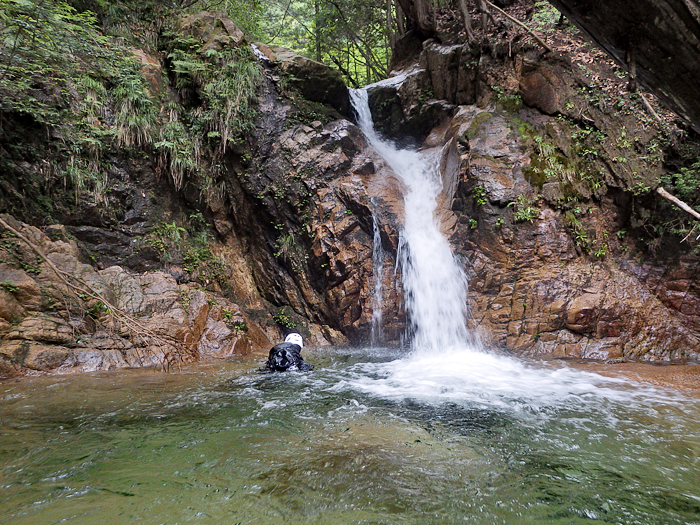 写真をクリックで拡大します