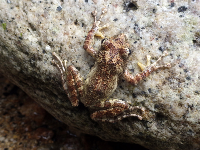 写真をクリックで拡大します