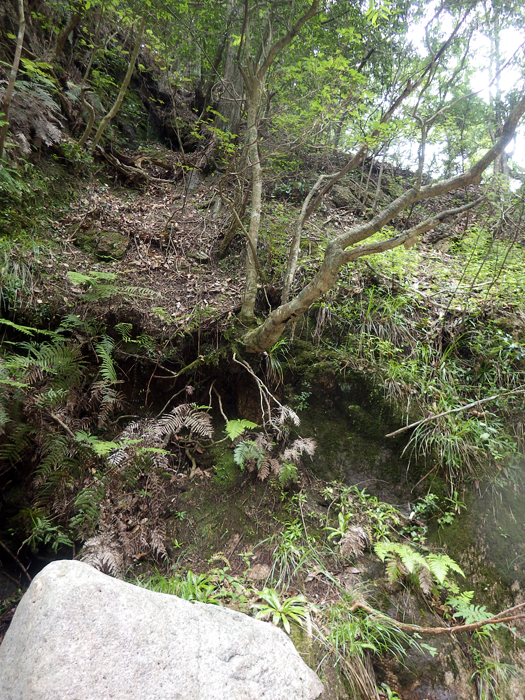 写真をクリックで拡大します