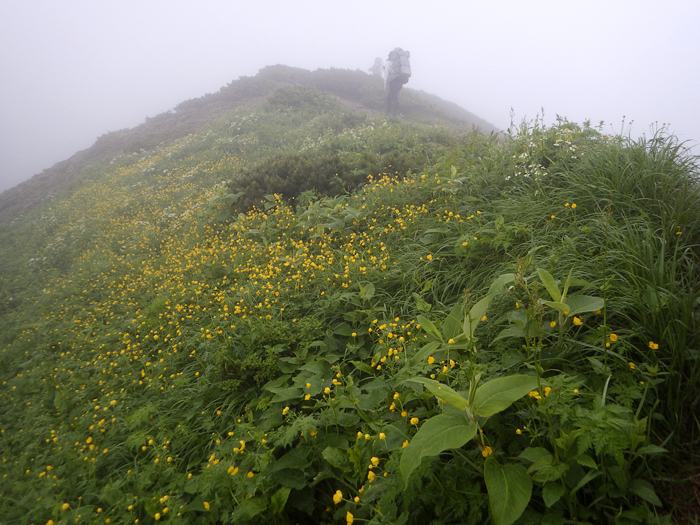 写真をクリックで拡大します
