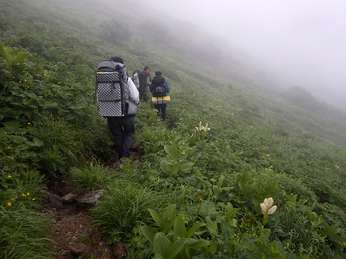 写真をクリックで拡大します