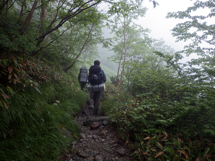 写真をクリックで拡大します