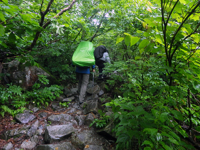 写真をクリックで拡大します