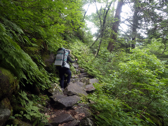 写真をクリックで拡大します