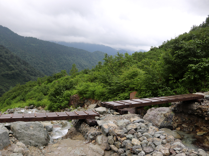 写真をクリックで拡大します