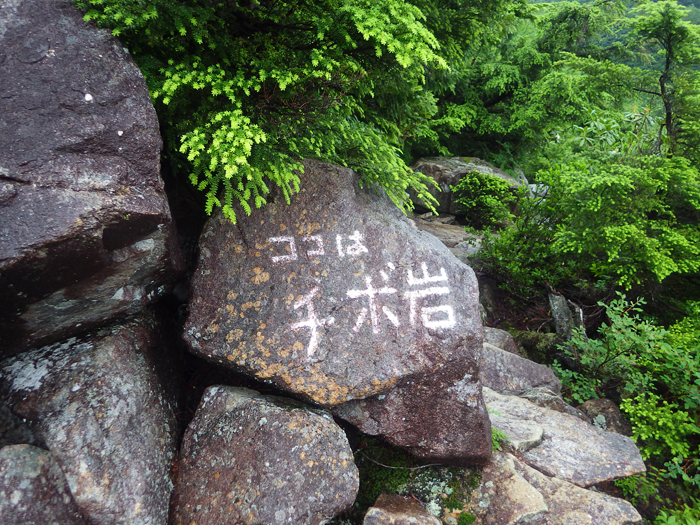 写真をクリックで拡大します