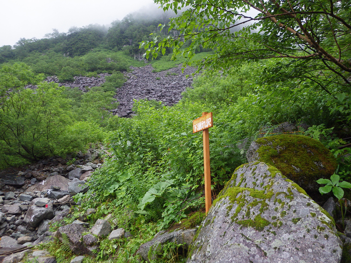 写真をクリックで拡大します