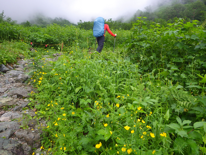 写真をクリックで拡大します