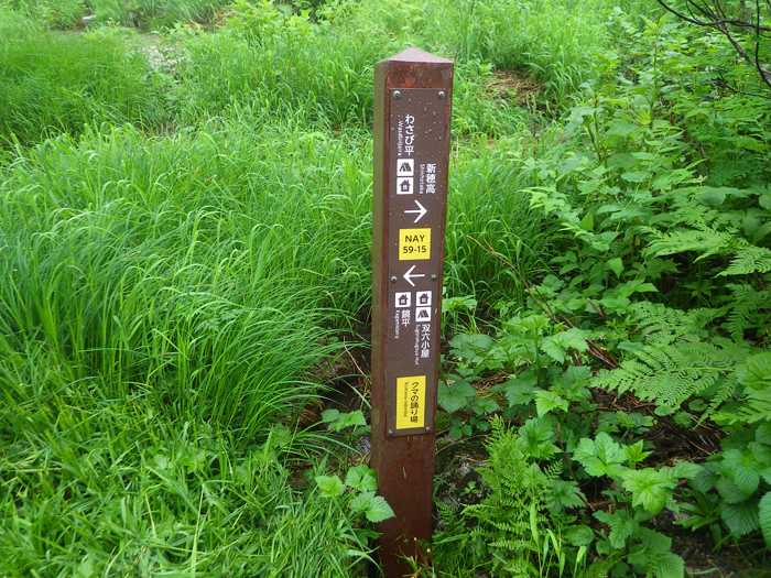 写真をクリックで拡大します