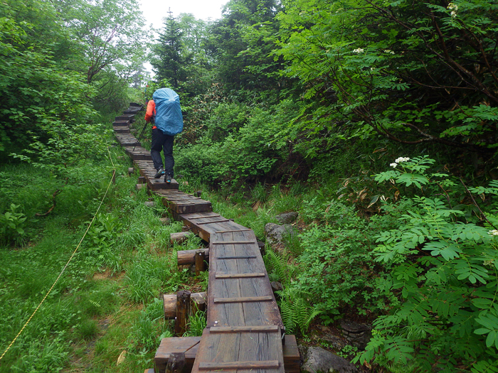 写真をクリックで拡大します