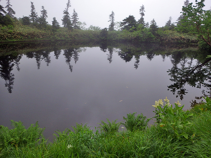 写真をクリックで拡大します