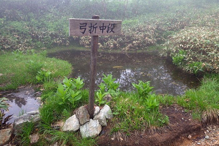 写真をクリックで拡大します