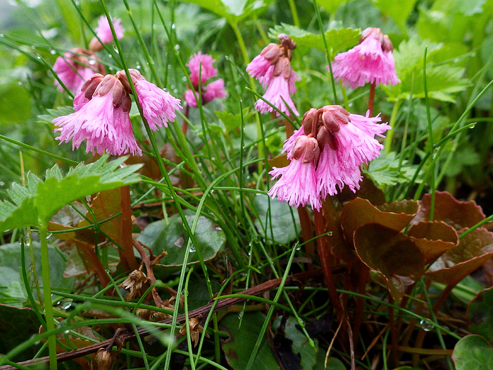 写真をクリックで拡大します