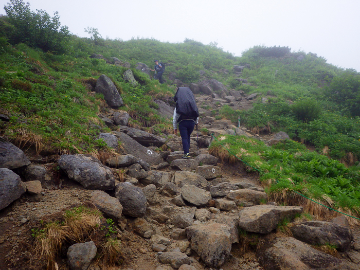 写真をクリックで拡大します