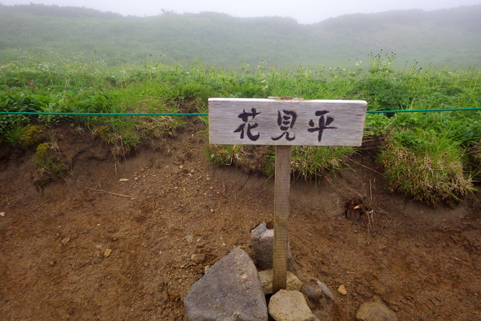 写真をクリックで拡大します