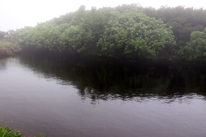 写真をクリックで拡大します