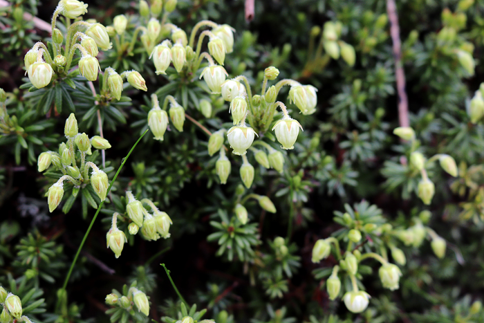 写真をクリックで拡大します