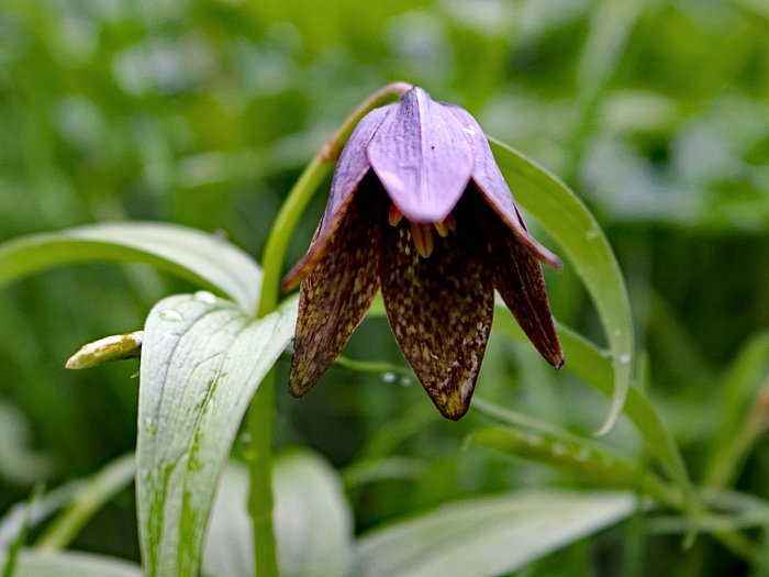 写真をクリックで拡大します