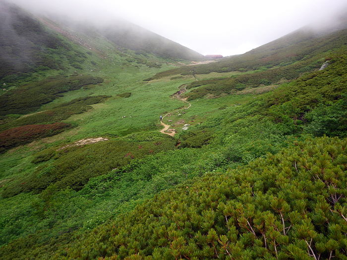 写真をクリックで拡大します