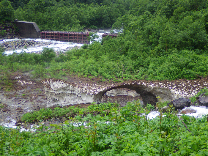 写真をクリックで拡大します