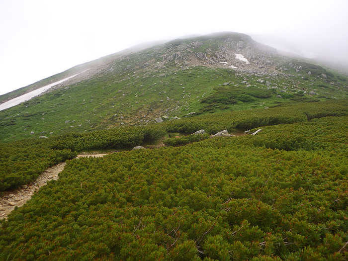 写真をクリックで拡大します