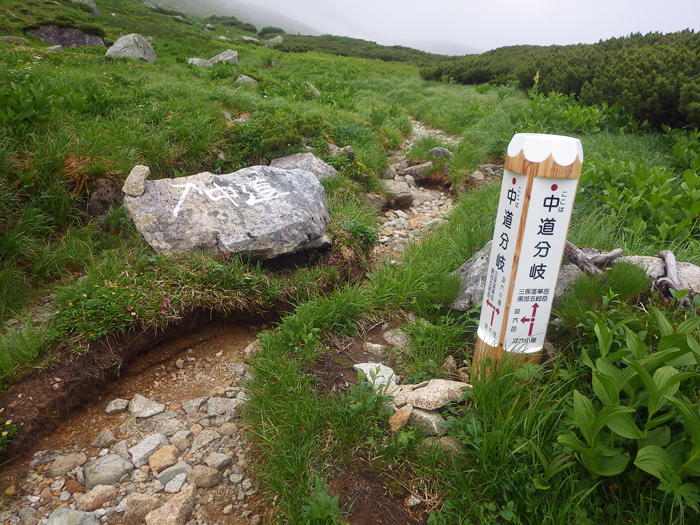 写真をクリックで拡大します