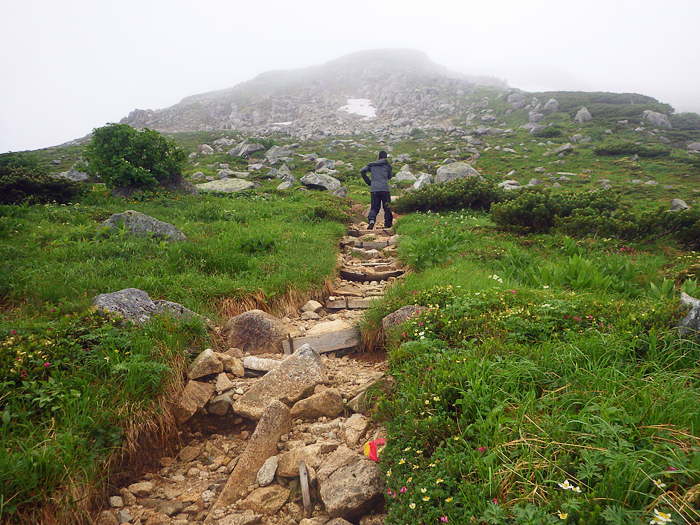 写真をクリックで拡大します