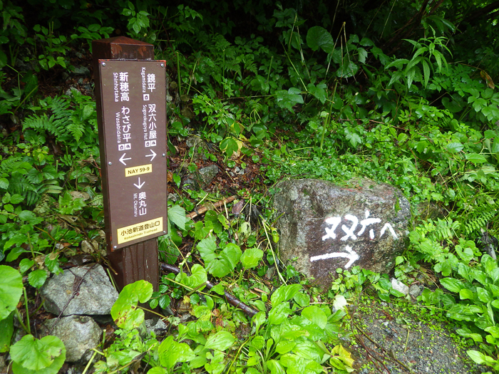 写真をクリックで拡大します