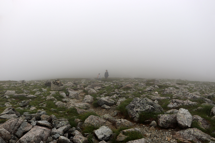 写真をクリックで拡大します