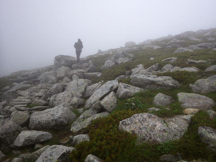 写真をクリックで拡大します