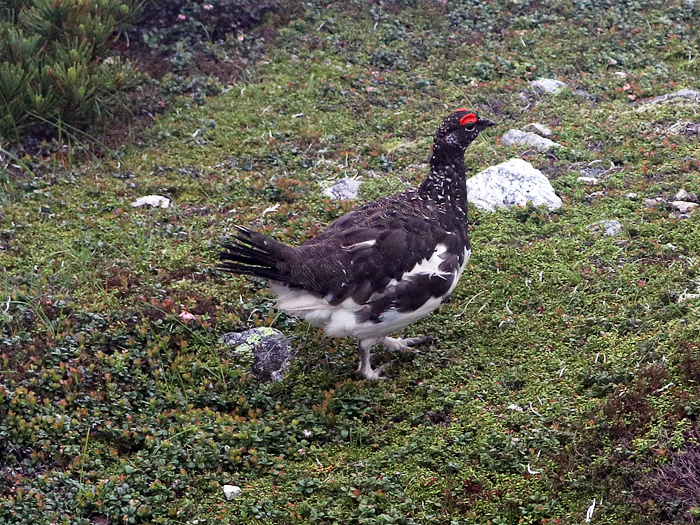 写真をクリックで拡大します