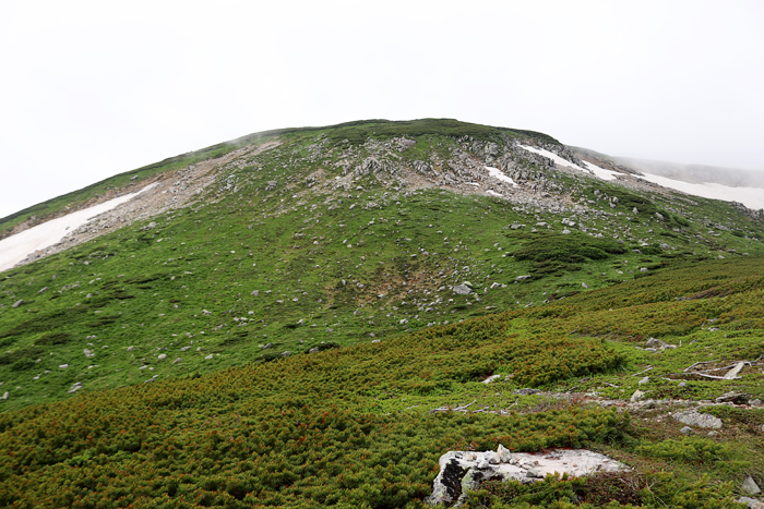 写真をクリックで拡大します