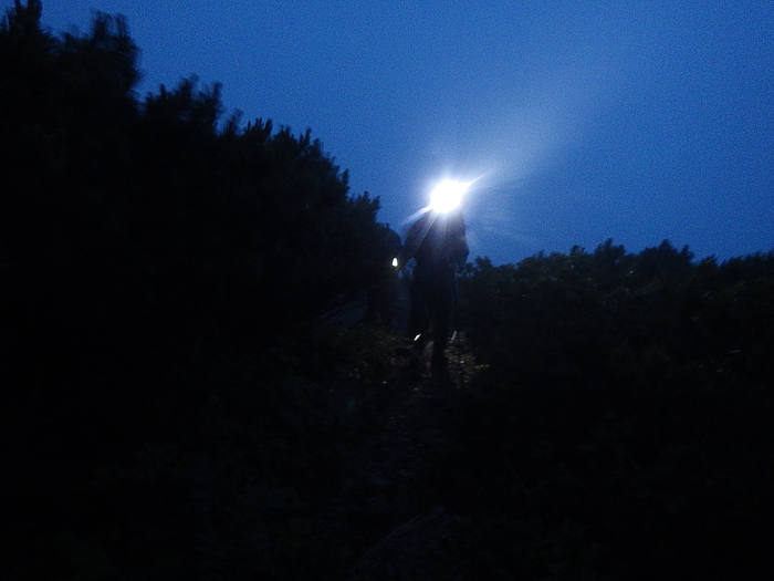 写真をクリックで拡大します