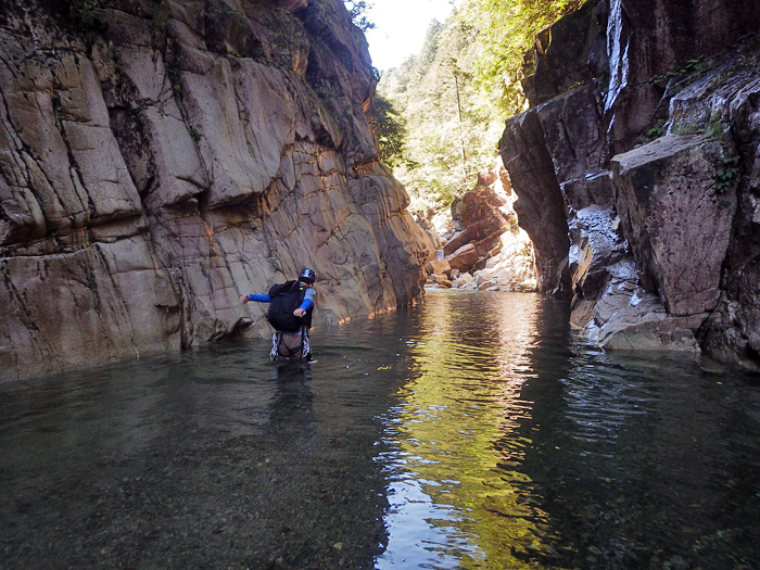 写真をクリックで拡大します