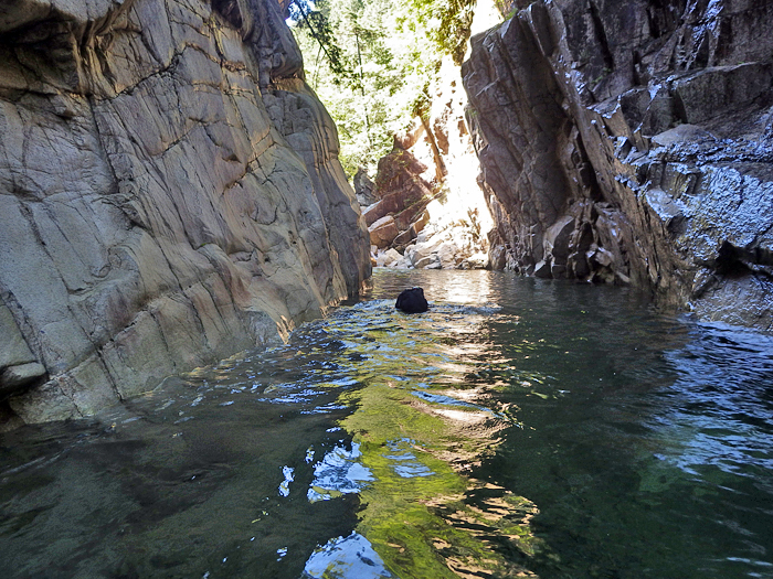 写真をクリックで拡大します