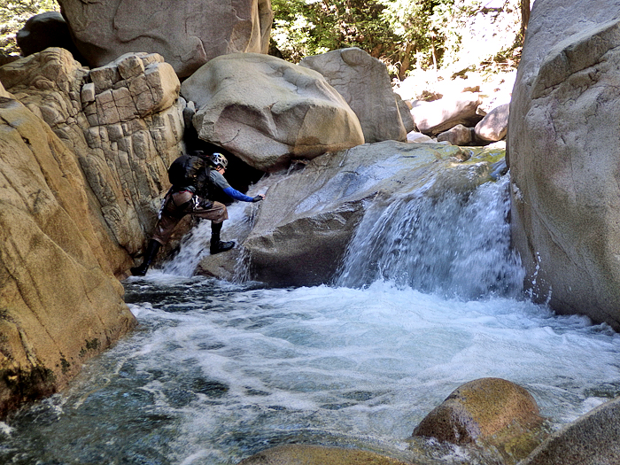 写真をクリックで拡大します