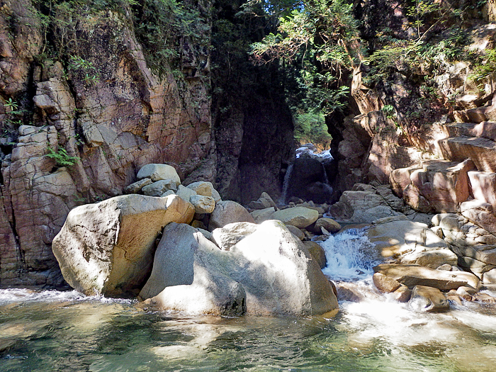 写真をクリックで拡大します